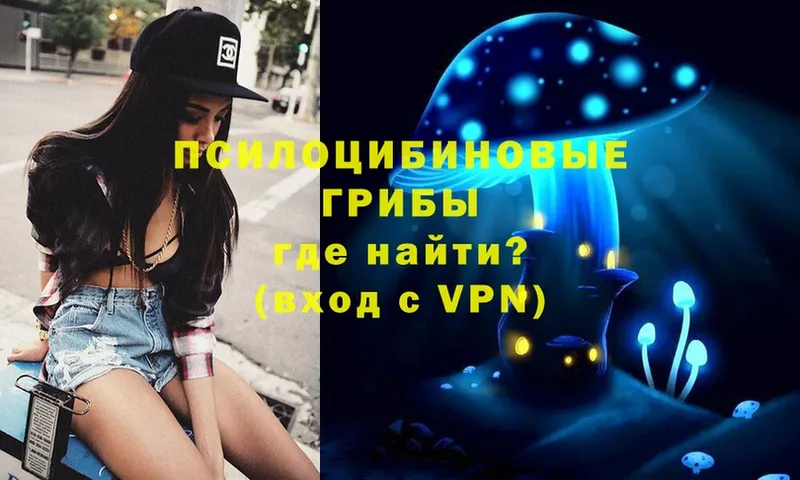 Галлюциногенные грибы Psilocybe  Знаменск 